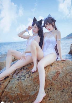 玫瑰故事电视剧免费播放在线高清_DVD日韩免费观看